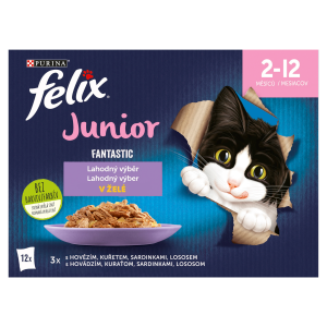 Felix vrecko (12x85g/kra) junior fantasti