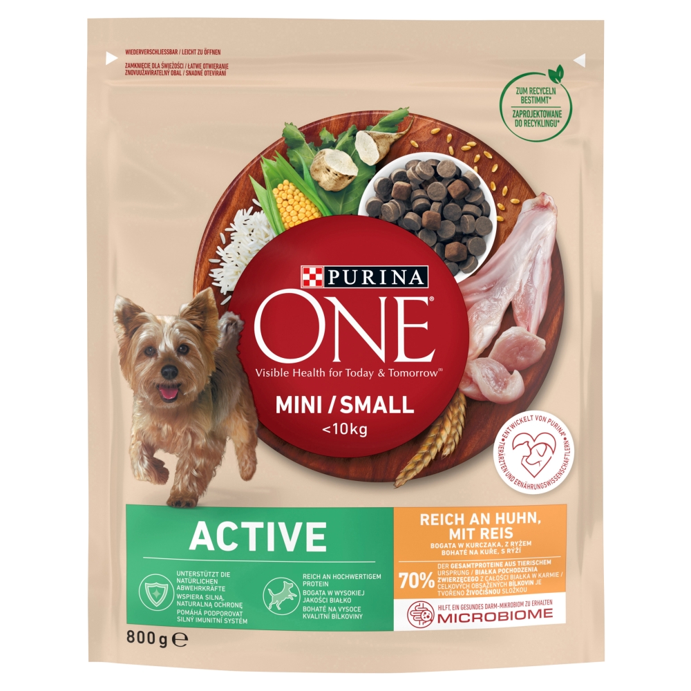 Purina ONE MINI granule 800g active kura