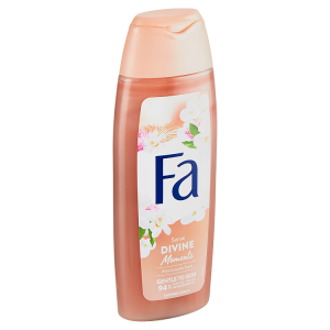 Fa SG 250ml Divine Moments