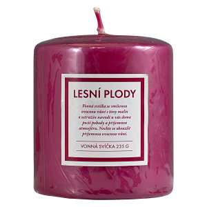 Q Home sviečka 235g lesné plody