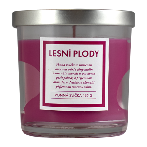 Q Home sviečka 195g lesné plody