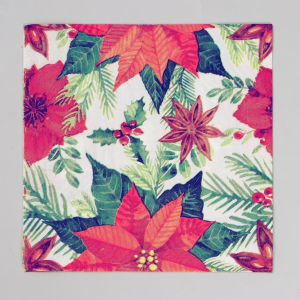 Obrúsky vianoč (20ks/fol) ván.hviezda