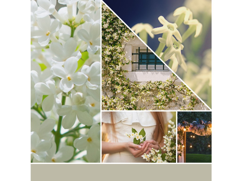 YANKEE CANDLE VOTÍVNA SVIEČKA PLNENÁ V SKLE MIDNIGHT JASMINE