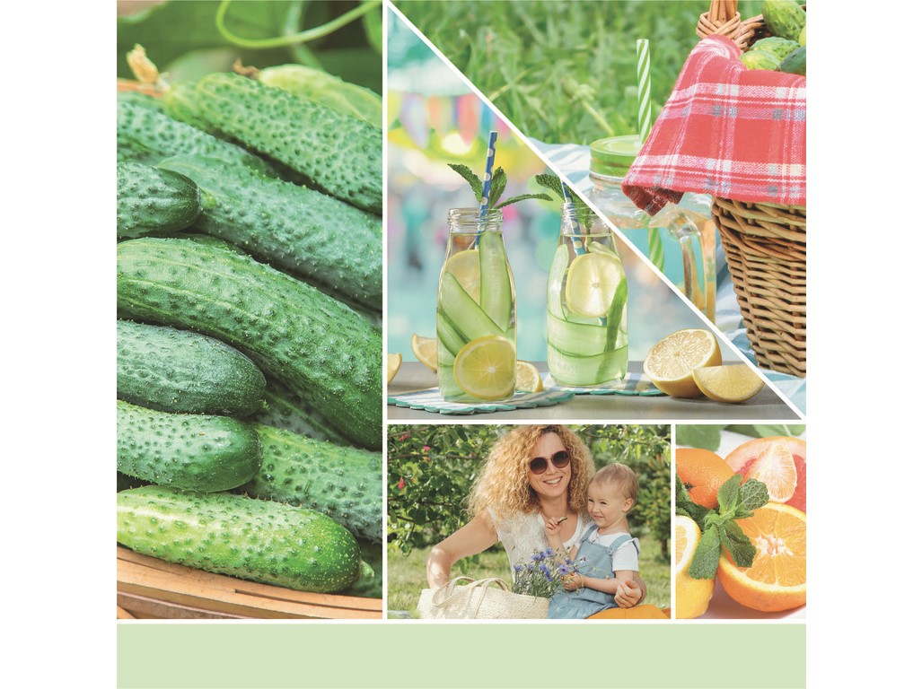 YANKEE CANDLE VOTÍVNA SVIEČKA PLNENÁ V SKLE CUCUMBER MINT COOLER