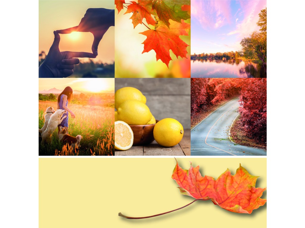 YANKEE CANDLE AUTUMN SUNSET SIGNATURE STREDNÝ