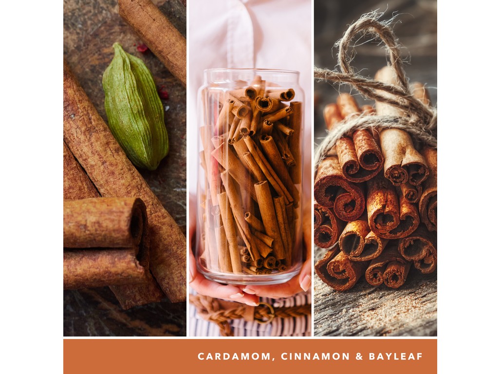 YANKEE CANDLE CINNAMON STICK SIGNATURE STREDNÁ