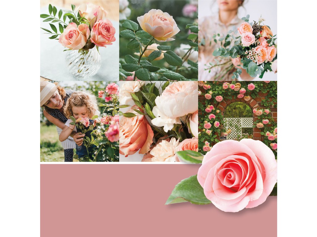 YANKEE CANDLE VOTÍVNA SVIEČKA PLNENÁ V SKLE FRESH CUT ROSES