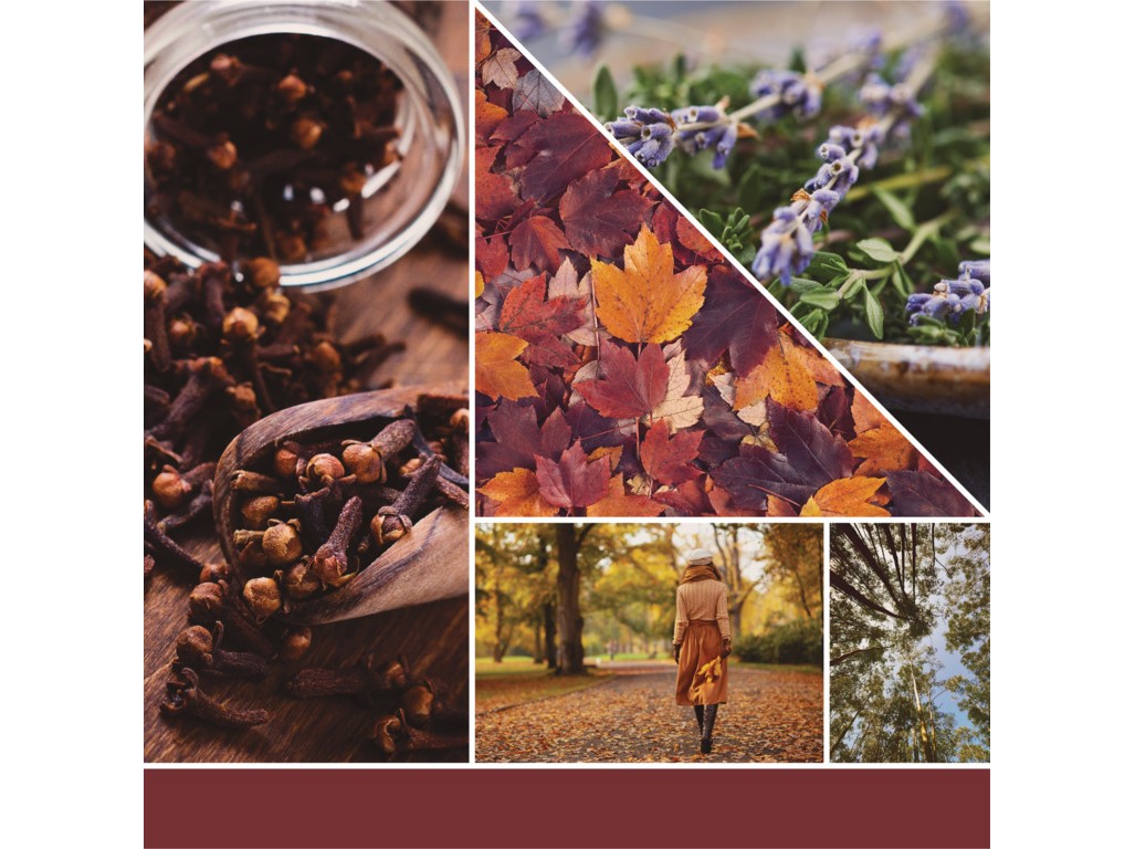 YANKEE CANDLE AUTUMN DAYDREAM SIGNATURE VEĽKÝ