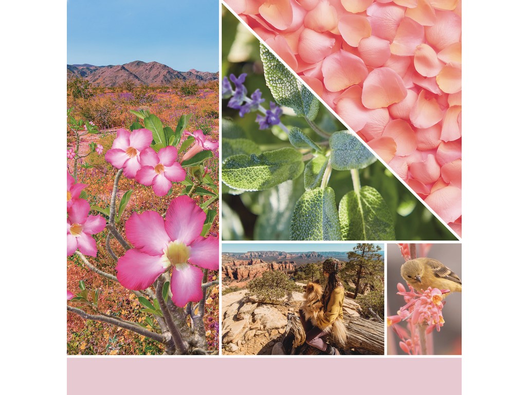 YANKEE CANDLE DESERT BLOOMS SIGNATURE STREDNÁ