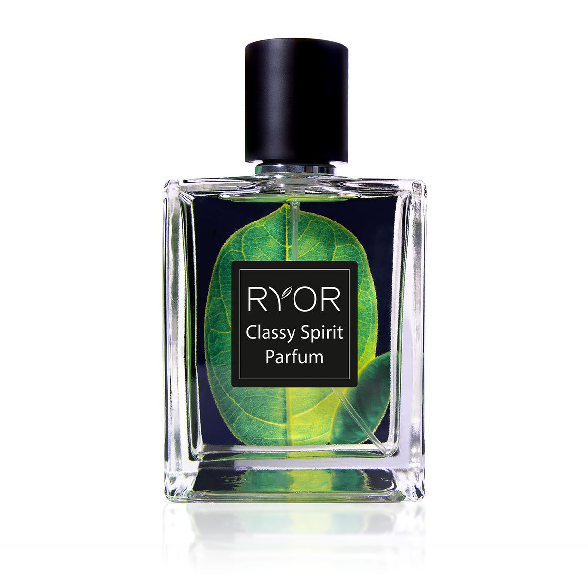 Ryor - Parfém Classy Spirit Parfém - 100 ml
