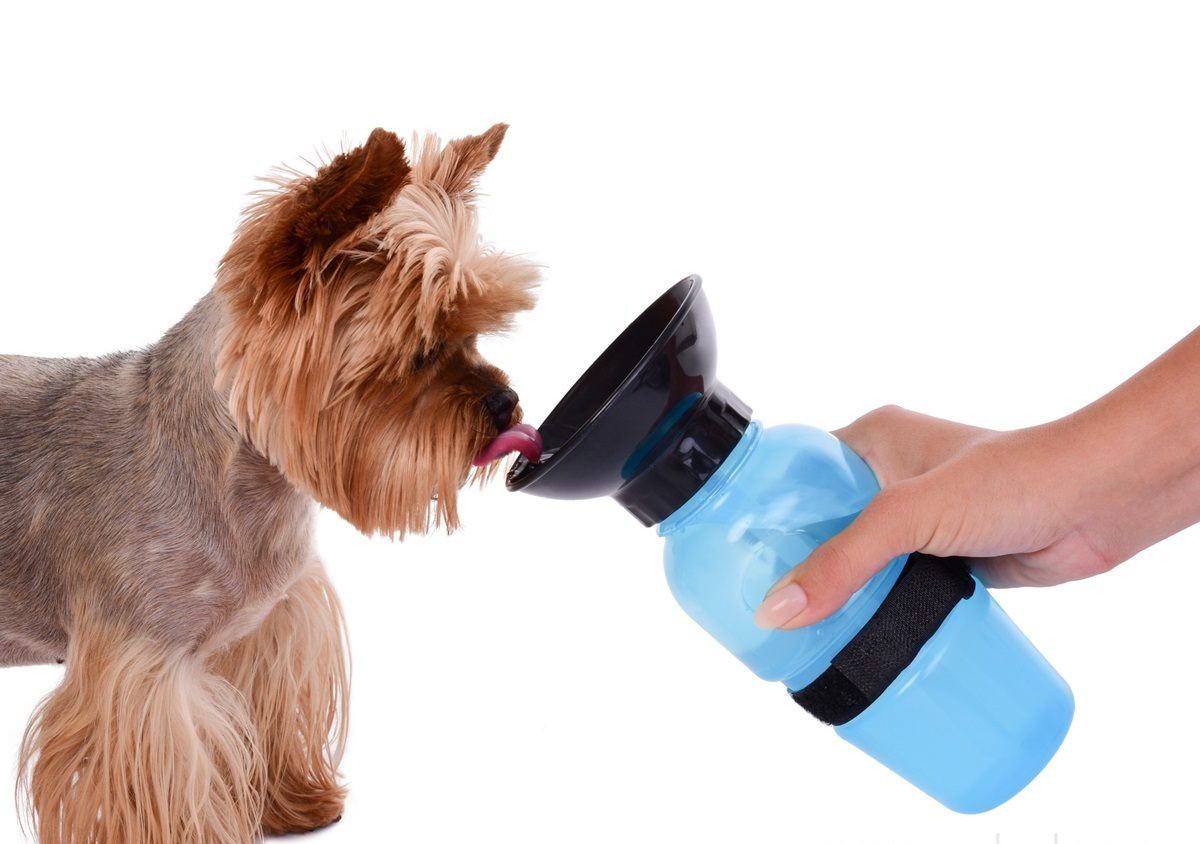 HAFBAR | cestovná fľaša na vodu pre psov | integrovaná miska | 600 ml