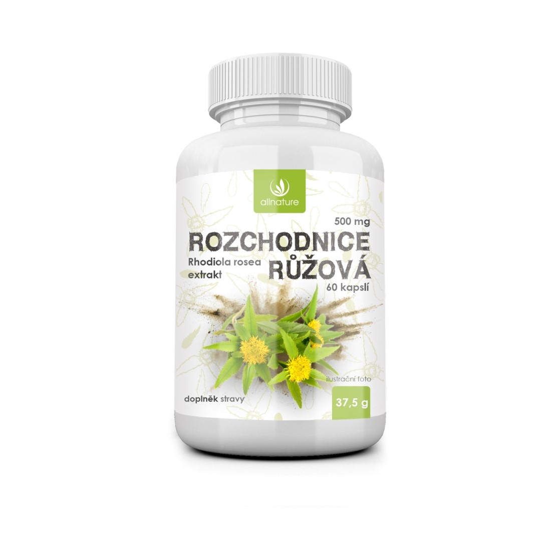 Allnature Rozchodnica ružová 500 mg 60 cps.