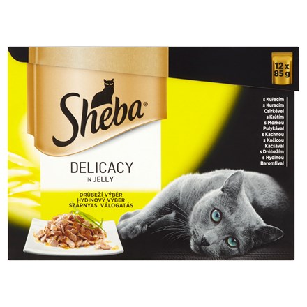 E-shop Sheba hydinová v želé pre mačky 12 x 85 g