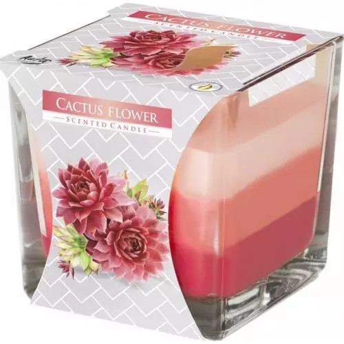 E-shop Bispol sviečka cactus flower 170g