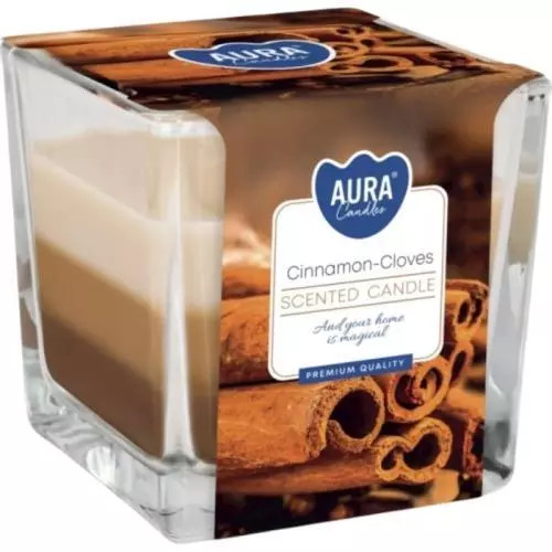 E-shop Bispol sviečka cinnamon - cloves 170g