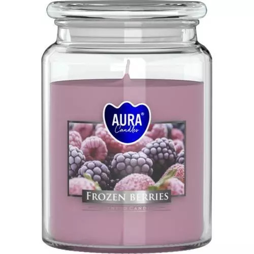 E-shop Bispol sviečka frozen berries 500g