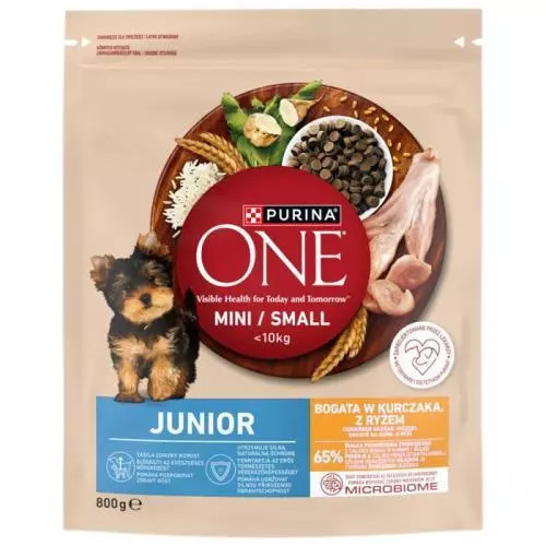 E-shop Purina One mini granule junior dog s kuraťom 800g