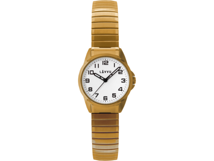 6703 large