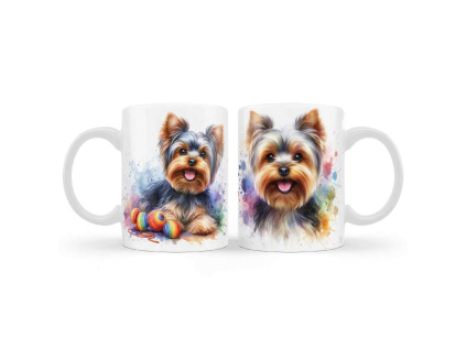 Hrncek yorkshire terrier B1226