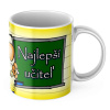 B095 N ucitel 01333