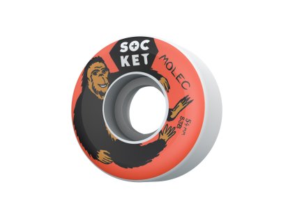 WH 21109 54S3 C