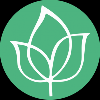 Kontakt