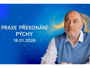 praxe pýcha