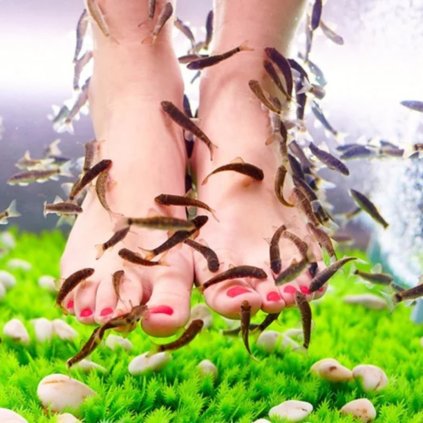 foto web čtverec náhled (19)