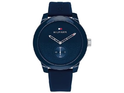 Hodinky TOMMY HILFIGER model DENIM 1791803