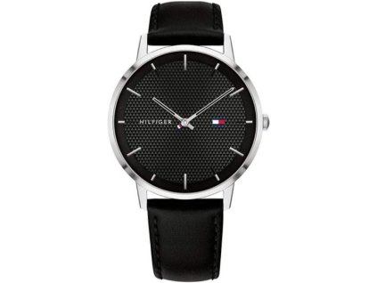 Hodinky TOMMY HILFIGER model JAMES 1791651
