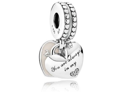 privesek pandora model 792072en40