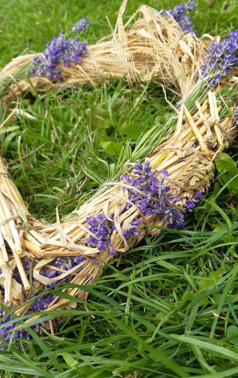 JAK VZNIKLA LAZYFARM A PROČ VĚŘÍME BYLINÁM