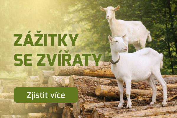 ZÁŽITKY SE ZVÍŘATY