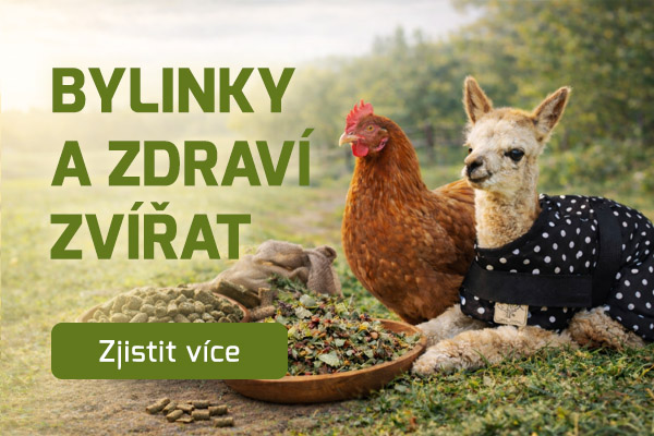 BYLINKY A ZDRAVÍ ZVÍŘAT