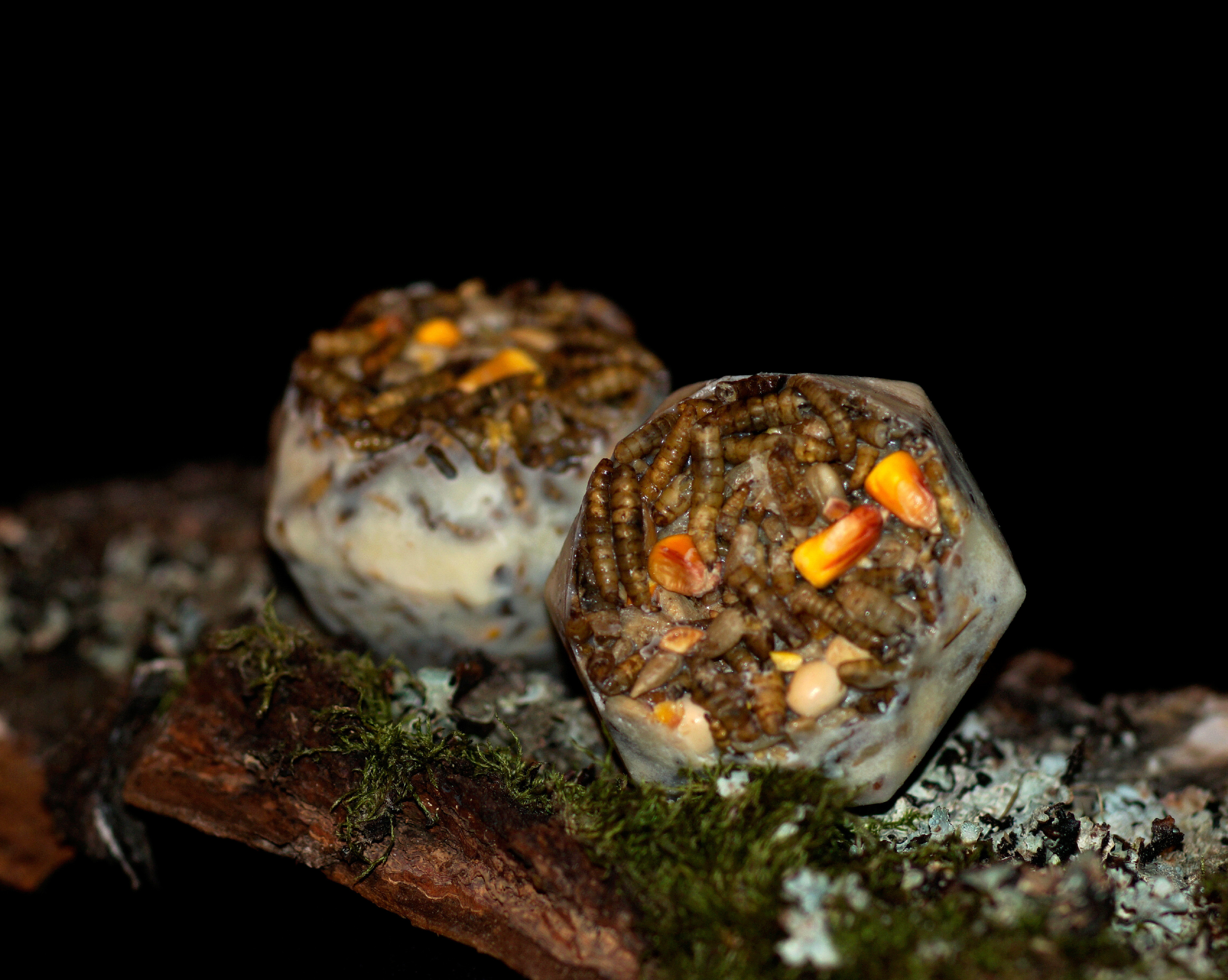 Lojová koule - proteinová