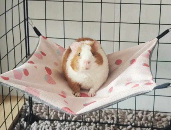 Hamaka pro hlodavce Barva: bordo, Velikost: S