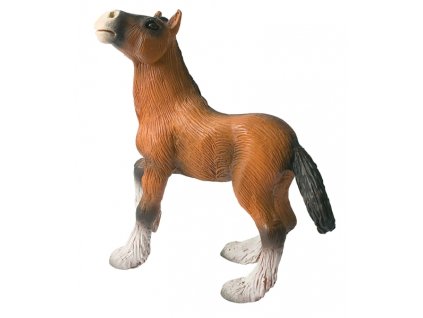 Žriebä koňa Shire