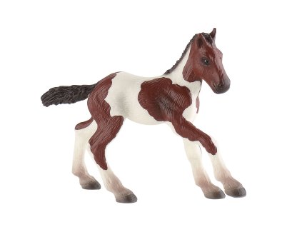 Žriebä koňa Maliar