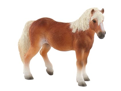 Kobyla Haflinger