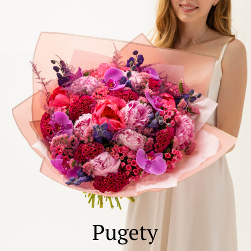 Pugety