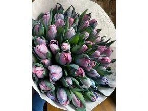 08520F4F A2A1 4F9F 9330 23FEA02D5EFE