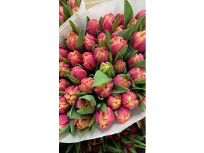 0B7760C9 6EC0 4FEB 8AD8 5C0617632F2D