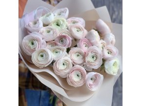 C0E3E6CA DB9F 4DB9 A614 23304578FAA3