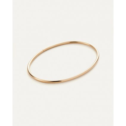 DANE ANKLET