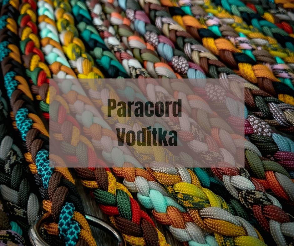 Vodítka z paracordu: pevnost, styl a pohodlí na každém kroku