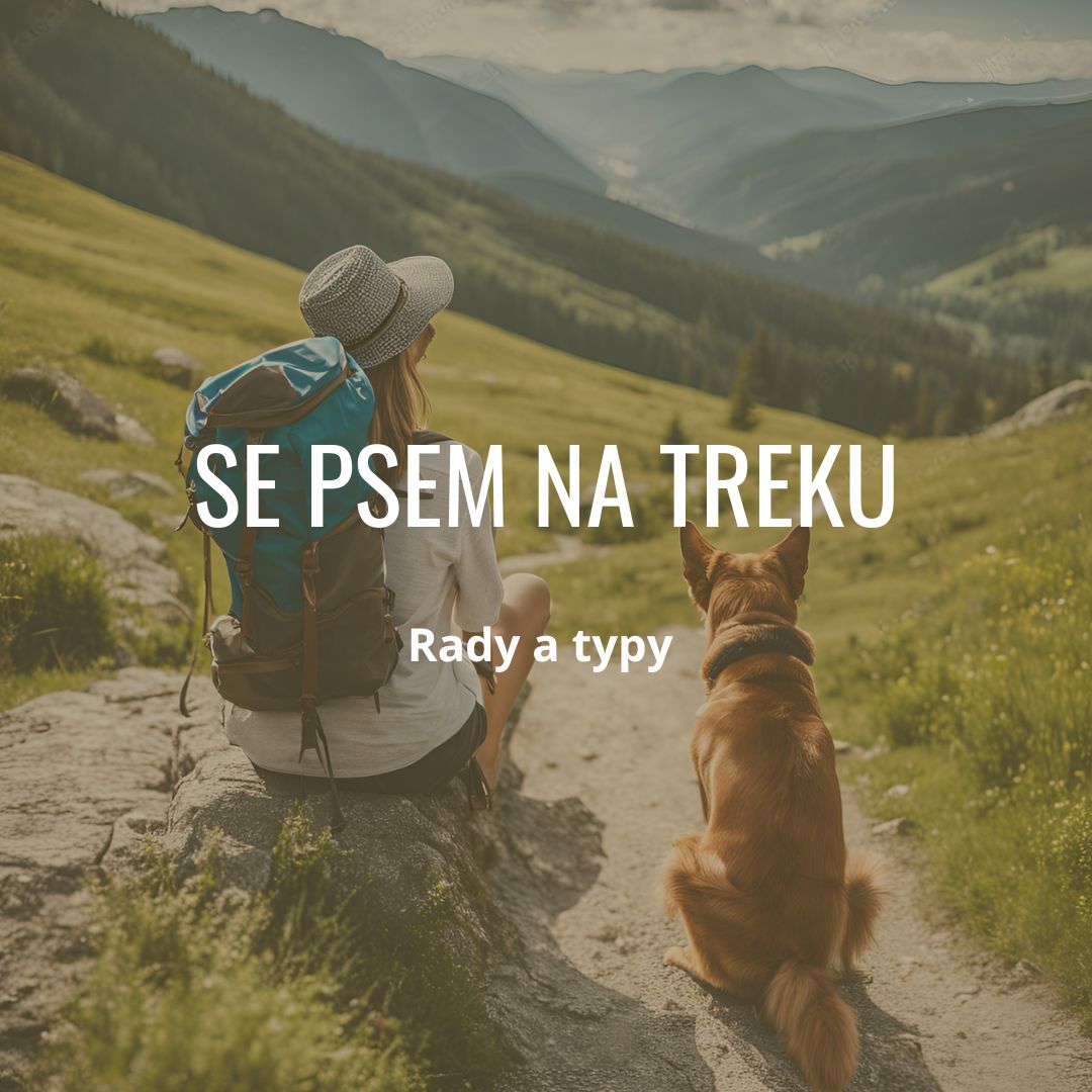 Se psem na výletě