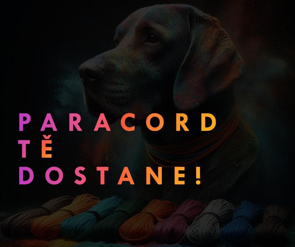 Paracord - Materiál pevný stejně jako láska k vašemu psovi