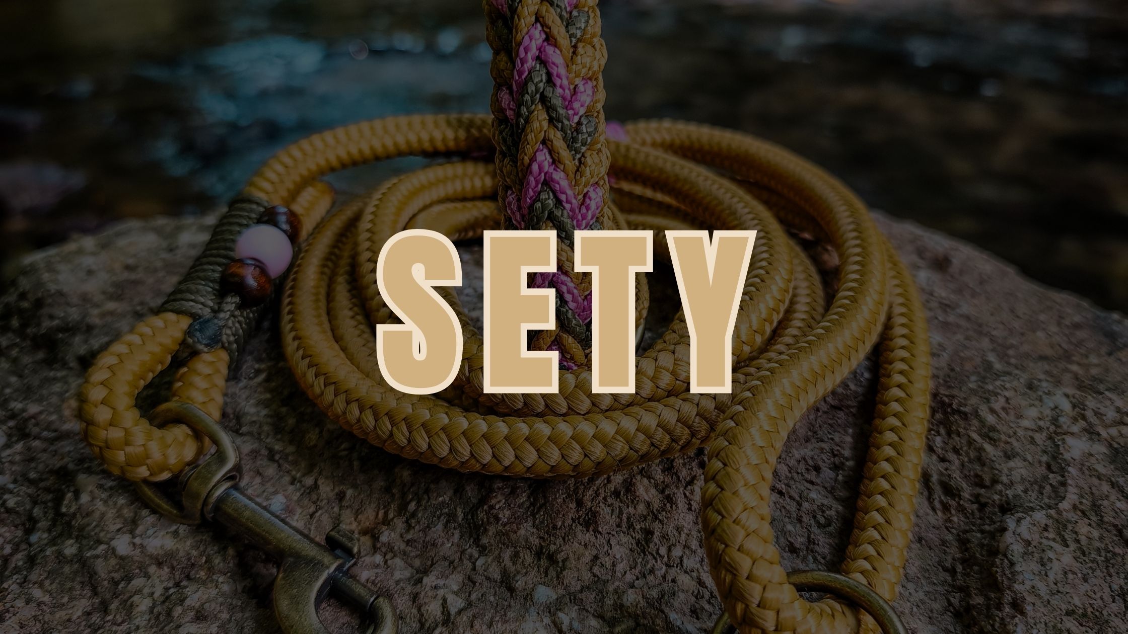 Sety pro psy