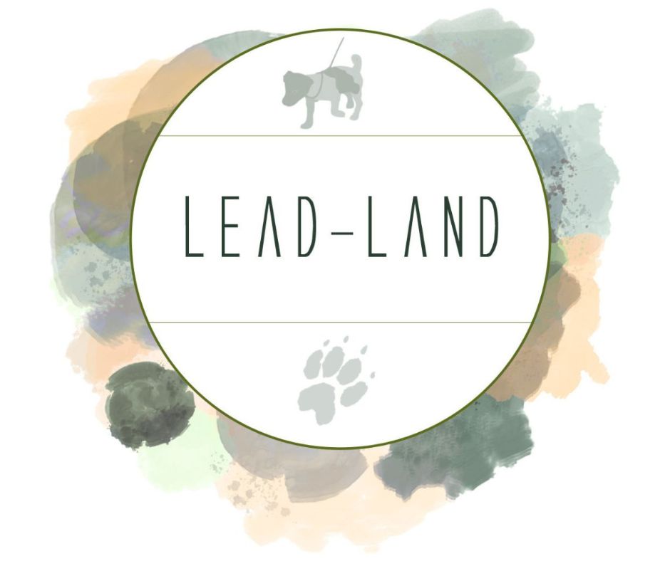 Lead-Land.cz