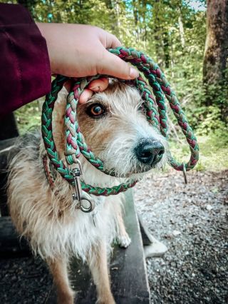 🌲 Lead-Land.cz vznikl z lásky k pejskům, toulání po lesích a společně stráveným chvilkám Vodítka nevyrábím jen proto, aby...